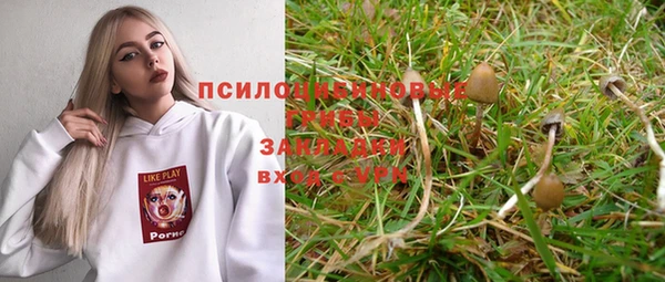 первитин Алексеевка