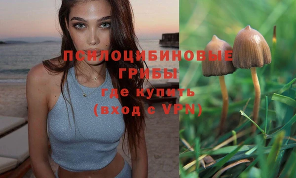 первитин Алексеевка