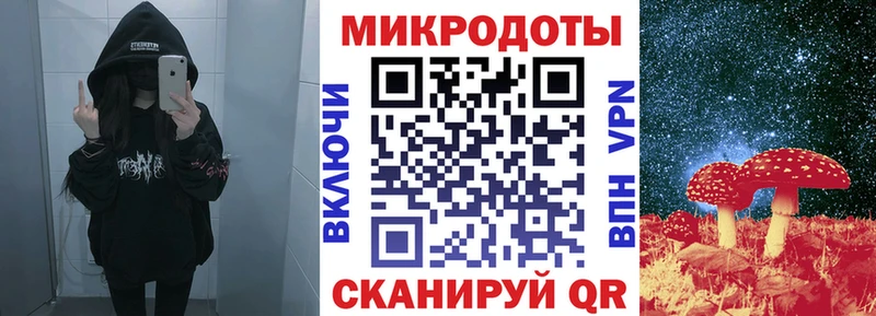Галлюциногенные грибы Psilocybine cubensis Нижний Тагил